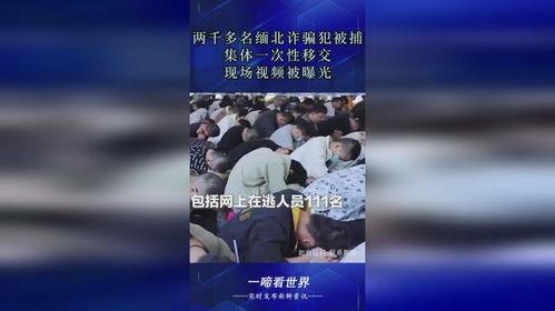 缅北诈骗犯爆料视频大全,视频爆料揭露罪恶全貌 第1张 缅北诈骗犯爆料视频大全,视频爆料揭露罪恶全貌 第1张