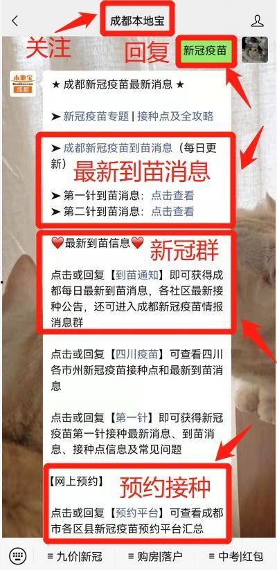 苗原最新爆料蓉城,蓉城风云再起，揭秘蓉城背后惊人真相