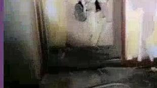 探险废弃老宅的爆料视频,探寻隐藏在岁月尘埃中的神秘往事 第3张 探险废弃老宅的爆料视频,探寻隐藏在岁月尘埃中的神秘往事 第3张